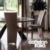 aurelia-chair-cattelan-italia-original-design-promo-cattelan-4