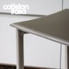cliff-stool-cattelan-italia-original-design-promo-cattelan-3