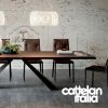 eliot-wood-table-cattelan-italia-original-design-promo-cattelan-2