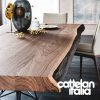 gordon-deep-wood-table-cattelan-italia-original-design-promo-cattelan-4