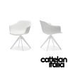 indy-chair-cattelan-italia-original-design-promo-cattelan-6