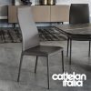 norma-chair-cattelan-italia-original-design-promo-cattelan-1