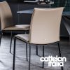 rita-chair-cattelan-italia-original-design-promo-cattelan-1