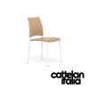 sally-chair-cattelan-italia-original-design-promo-cattelan-3