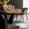 skorpio-wood-table-cattelan-italia-original-design-promo-cattelan-6