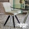 tyler-chair-cattelan-italia-original-design-promo-cattelan-5