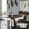 yoda-wood-table-cattelan-italia-original-design-promo-cattelan-2
